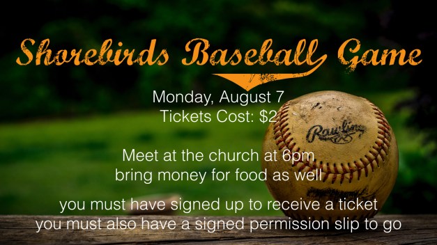 summer events shorebirds.001